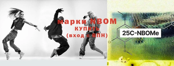 хмурый Абаза