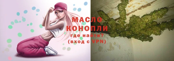 хмурый Абаза