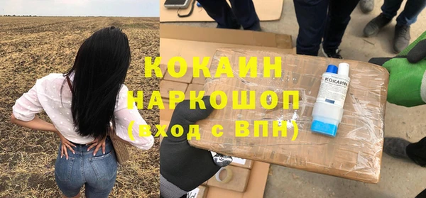 apvp Ельня